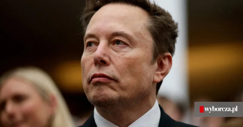 Paramount Skydance szuka inwestorów. Wchodzi Elon Musk. Co z TVN-em? - Wyborcza.biz