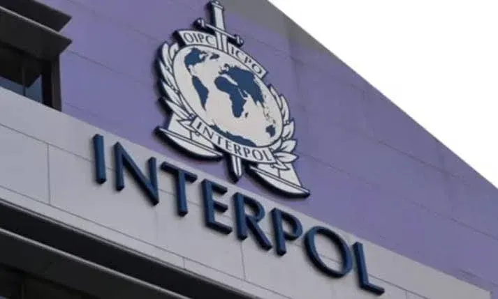 INTERPOL arrests two suspects in Nigeria over $2.4m fraud - Punch Newspapers