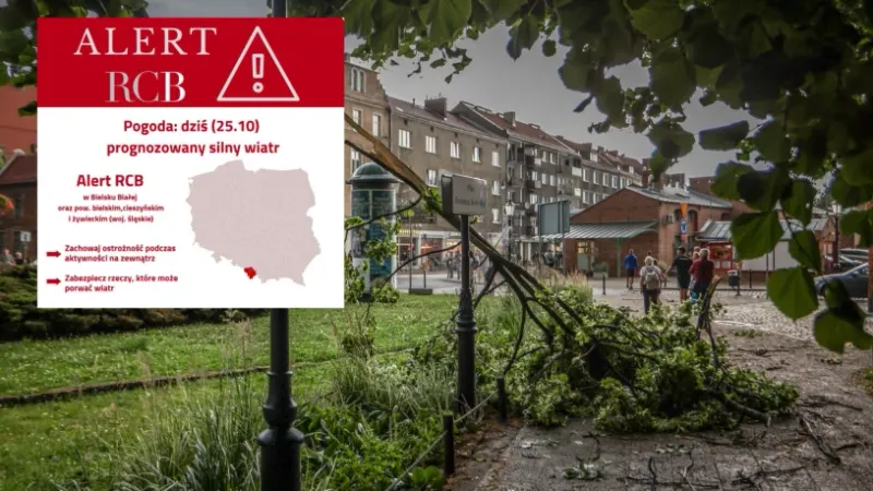 Silny wiatr nadciąga nad Polskę. RCB ostrzega mieszkańców