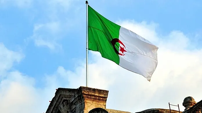 Algeria approves troop deployment to Niger: what is their mission?