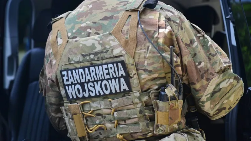 Wydrza. Obiekt wojsk NATO spadł na Podkarpaciu. Żandarmeria wydała komunikat - PolsatNews.pl