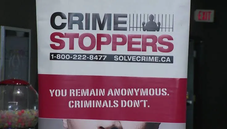 Ottawa Police pause Crime Stoppers programs after a data breach - CityNews Ottawa