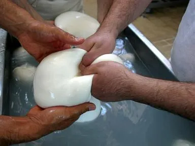 A truckers’ protest halts the production of Italy's famed buffalo mozzarella