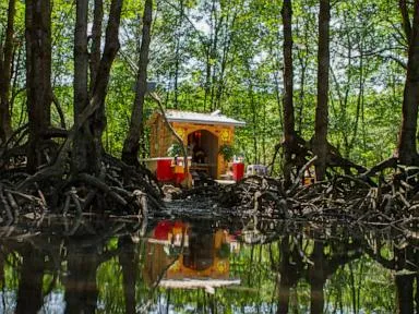 Coastal construction projects threaten the mangrove forest that protects Vietnam's biggest city