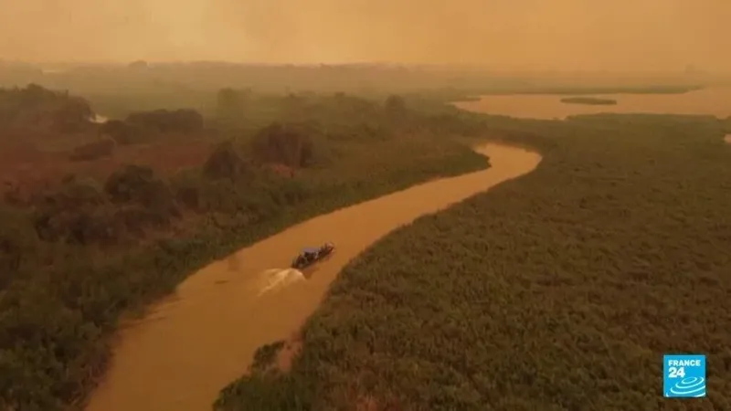 Brazil: What does Lula's re-election mean for the Amazon?
