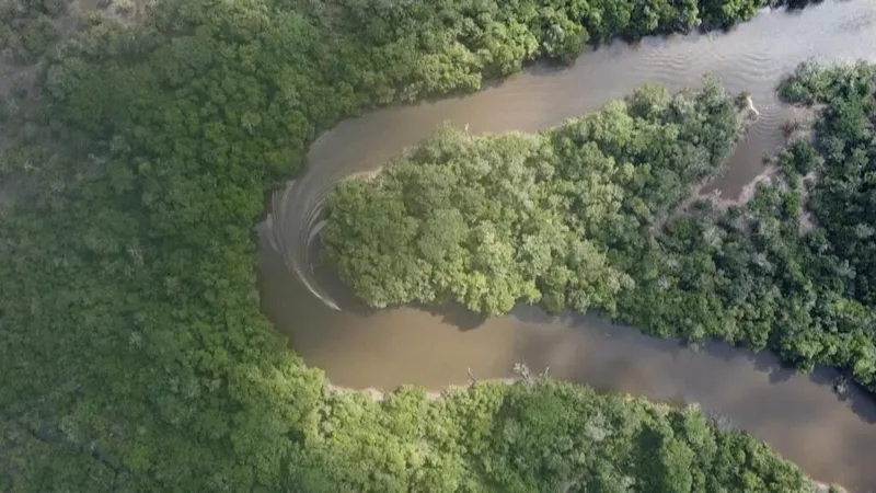Lula's re-election brings hope for the Amazon, as deforestation drops to record low