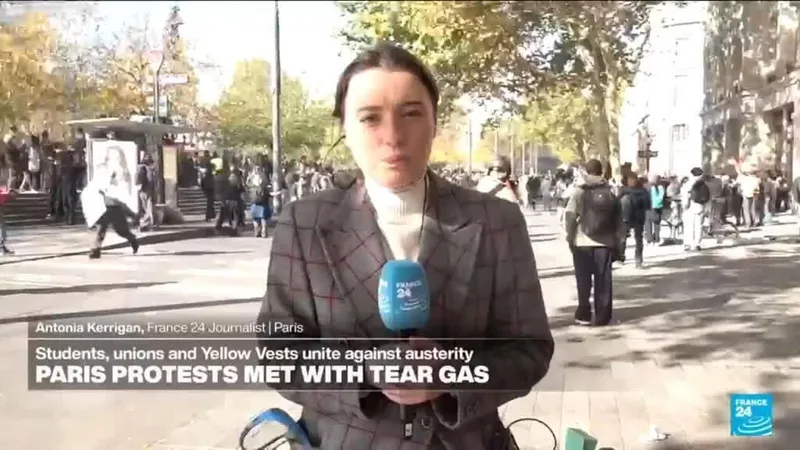 France: "We've seen extremely high tensions between protesters and law enforcement"