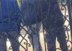 Ujawniał konwersacje DIOZ, rano w progu spotkał się u niego prokuratur i RDOŚ
